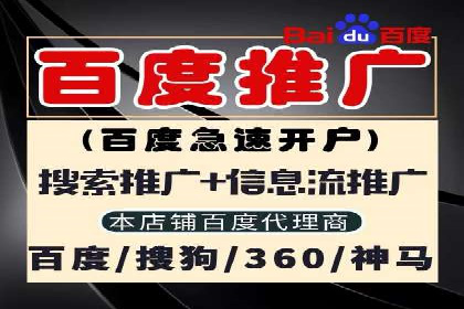 SEM托管公司案例分析：数据驱动决策